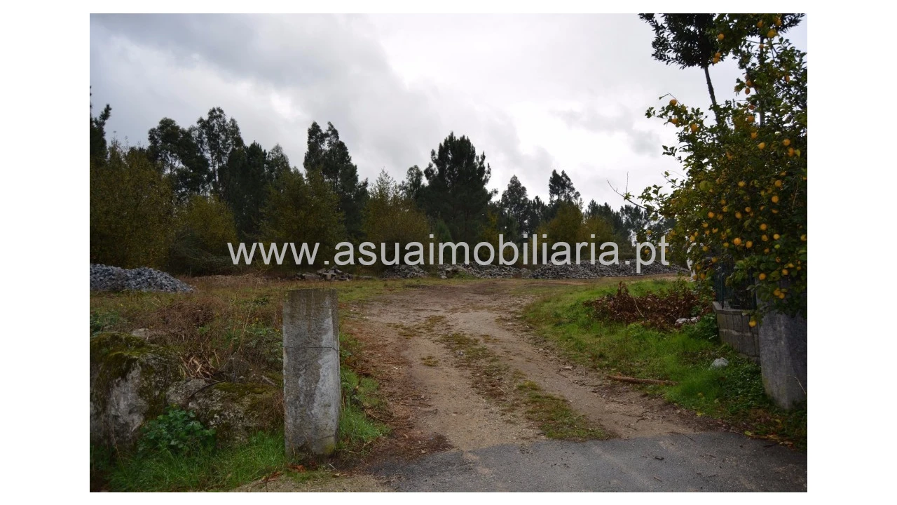 Terreno para Venda em Dornelas Foto 2