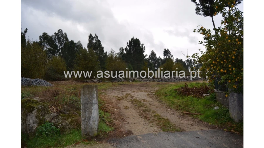 Terreno para Venda em Dornelas Foto 2