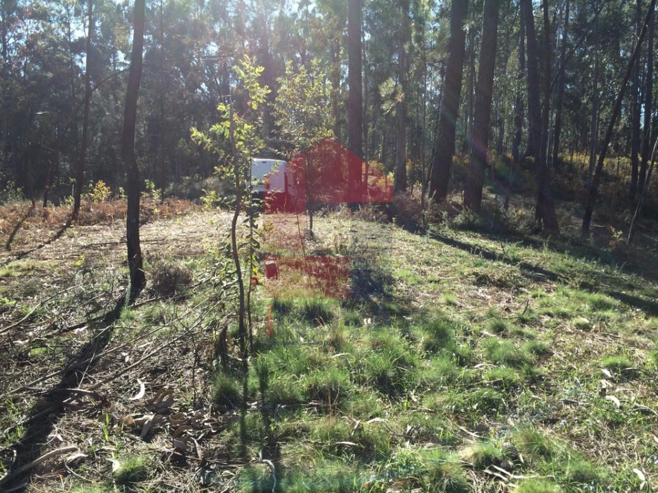 Terreno para Venda em Ribeira do Neiva Foto 4