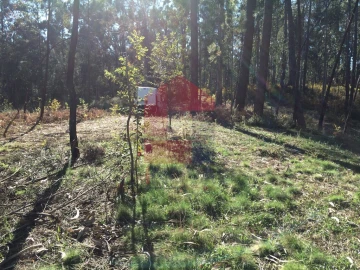 Terreno para Venda em Ribeira do Neiva