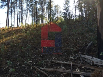 Terreno para Venda em Ribeira do Neiva