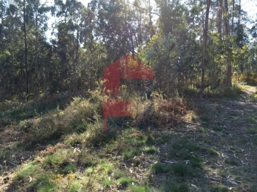 Terreno para Venda em Ribeira do Neiva