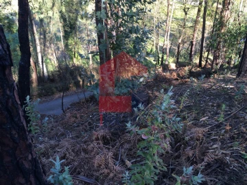 Terreno para Venda em Ribeira do Neiva