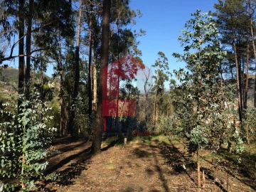 Terreno para Venda em Ribeira do Neiva