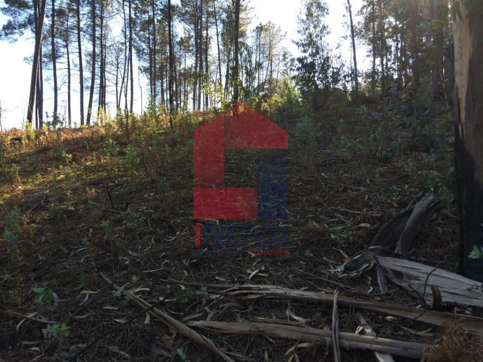 Terreno para Venda em Ribeira do Neiva Foto 10