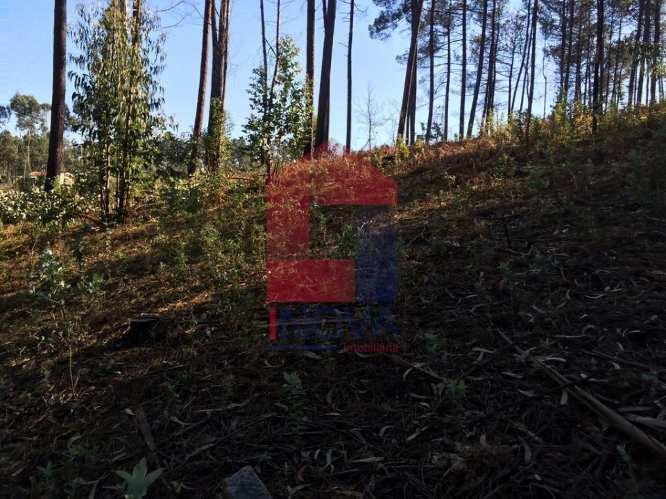 Terreno para Venda em Ribeira do Neiva Foto 5