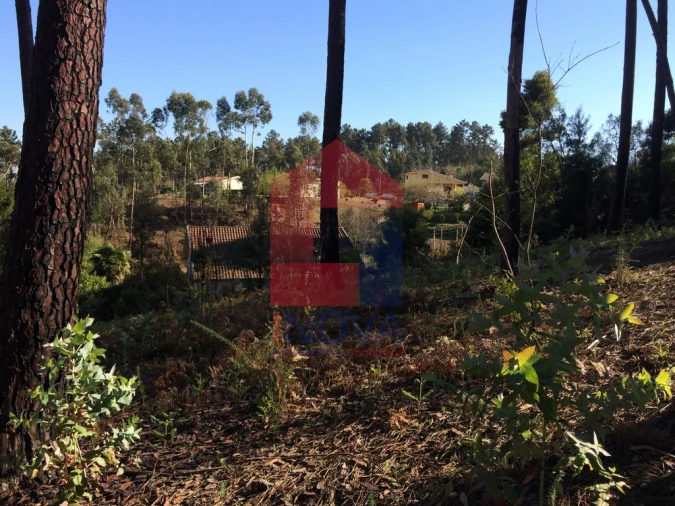 Terreno para Venda em Ribeira do Neiva Foto 13
