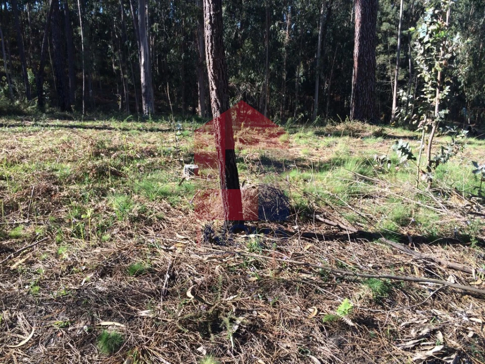 Terreno para Venda em Ribeira do Neiva Foto 2