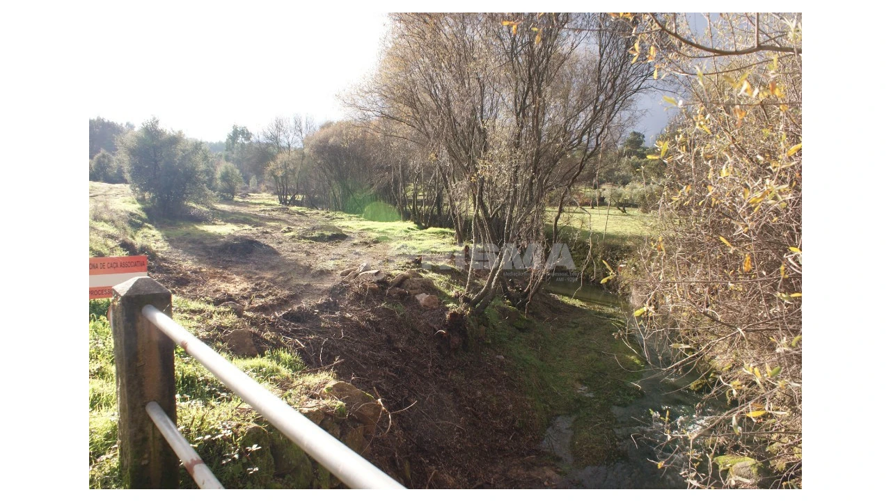 Terreno para Venda em Vale de Prazeres e Mata da Rainha Foto 11