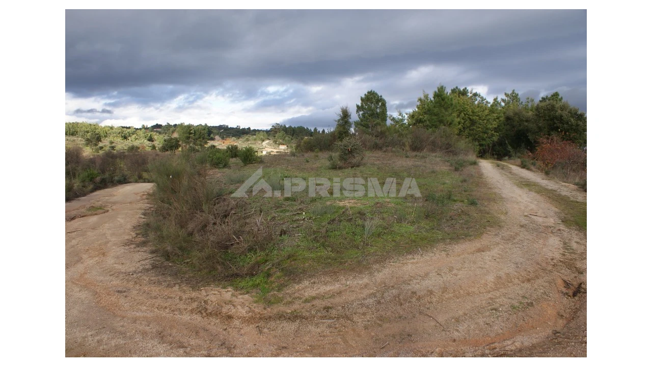 Terreno para Venda em Vale de Prazeres e Mata da Rainha Foto 10