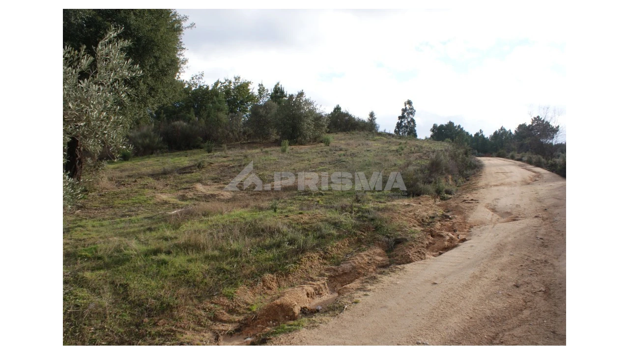 Terreno para Venda em Vale de Prazeres e Mata da Rainha Foto 8