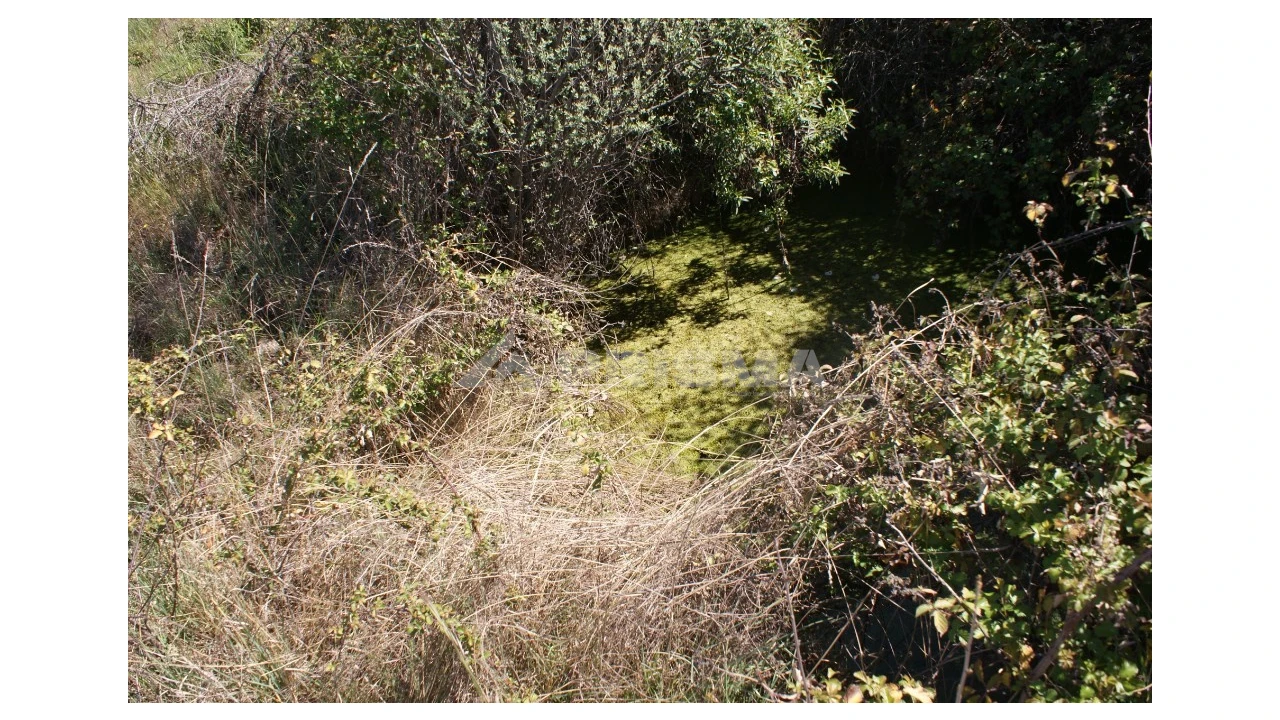 Terreno para Venda em Vale de Prazeres e Mata da Rainha Foto 12