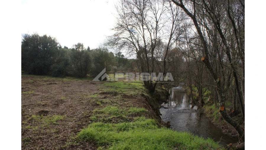 Terreno para Venda em Vale de Prazeres e Mata da Rainha Foto 4