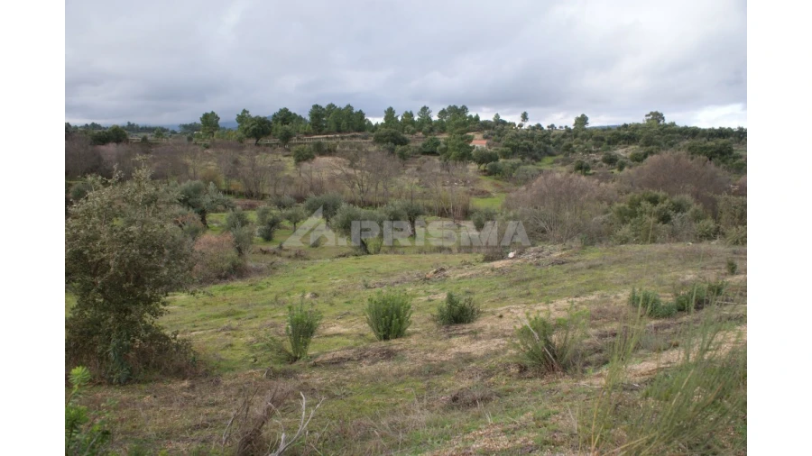 Terreno para Venda em Vale de Prazeres e Mata da Rainha Foto 9