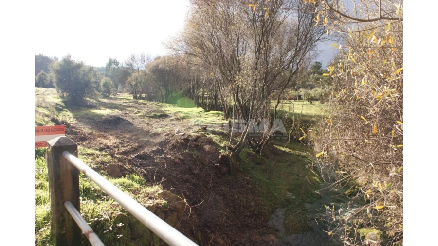 Terreno para Venda em Vale de Prazeres e Mata da Rainha Foto 11