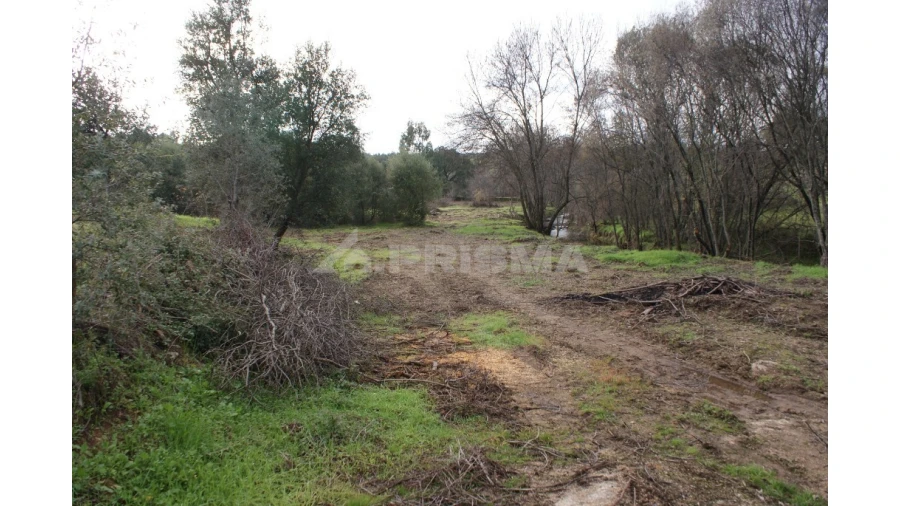 Terreno para Venda em Vale de Prazeres e Mata da Rainha