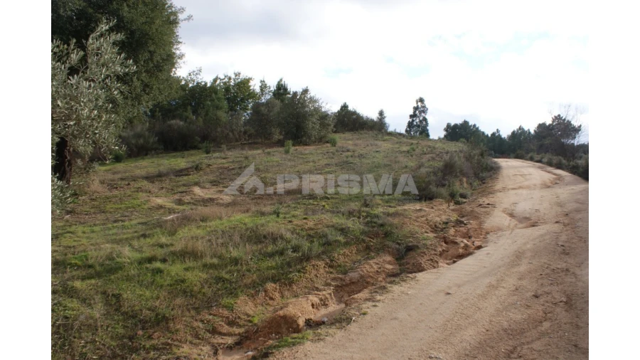 Terreno para Venda em Vale de Prazeres e Mata da Rainha Foto 8