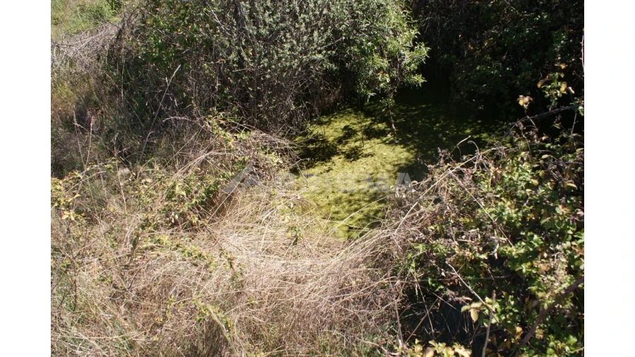 Terreno para Venda em Vale de Prazeres e Mata da Rainha Foto 12