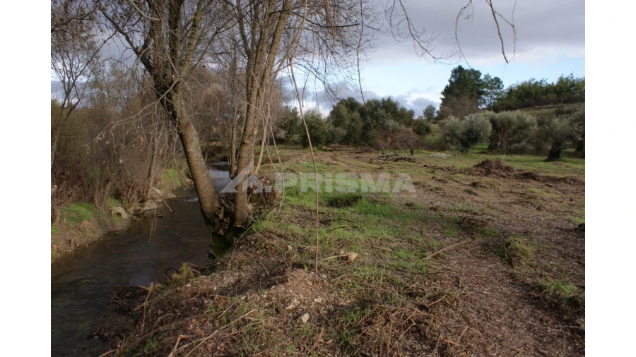 Terreno para Venda em Vale de Prazeres e Mata da Rainha Foto 7
