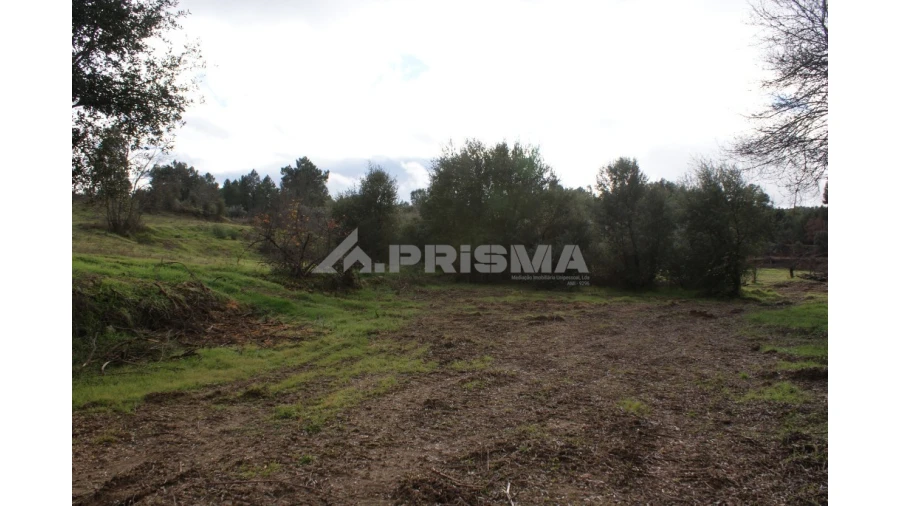Terreno para Venda em Vale de Prazeres e Mata da Rainha Foto 5