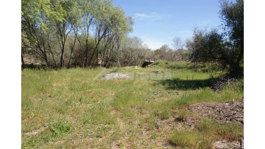 Terreno para Venda em Vale de Prazeres e Mata da Rainha Foto 13