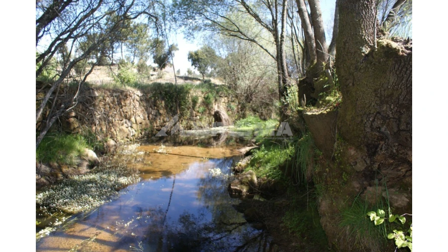 Terreno para Venda em Vale de Prazeres e Mata da Rainha Foto 14