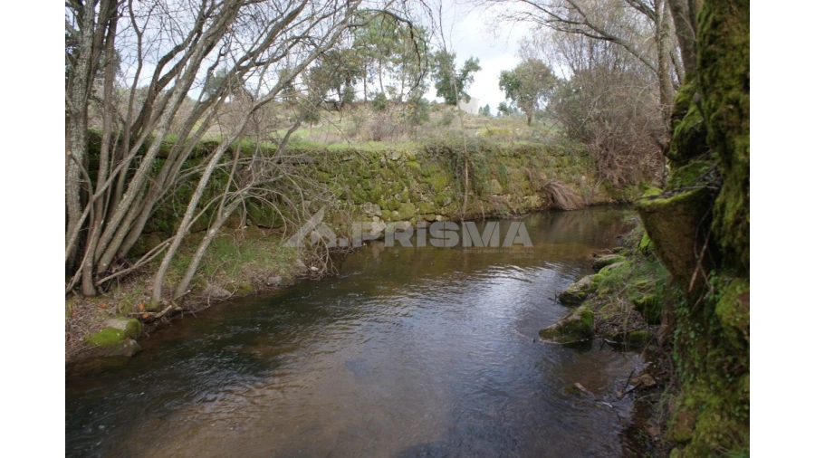 Terreno para Venda em Vale de Prazeres e Mata da Rainha Foto 2