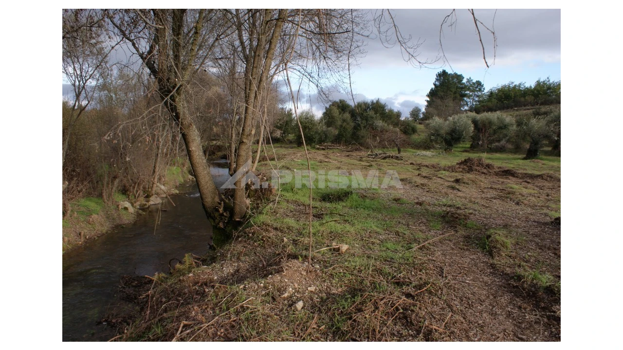 Terreno para Venda em Vale de Prazeres e Mata da Rainha Foto 7