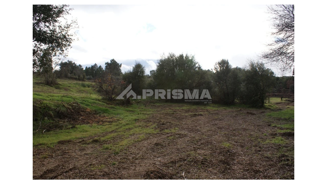 Terreno para Venda em Vale de Prazeres e Mata da Rainha Foto 5