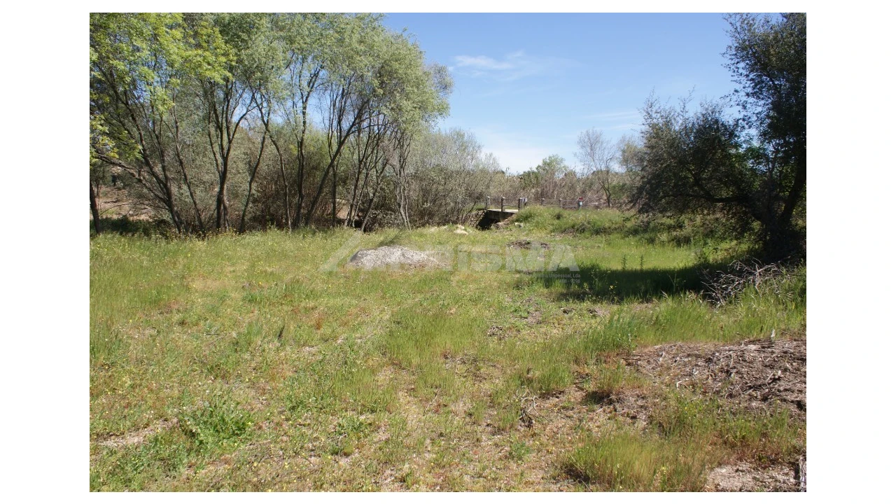 Terreno para Venda em Vale de Prazeres e Mata da Rainha Foto 13