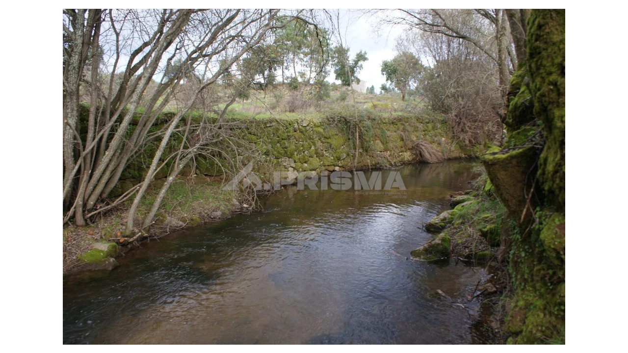 Terreno para Venda em Vale de Prazeres e Mata da Rainha Foto 2