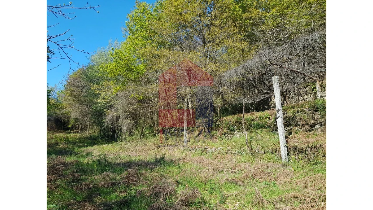 Moradia para Venda em Pico de Regalados, Gondiães e Mós Foto 8