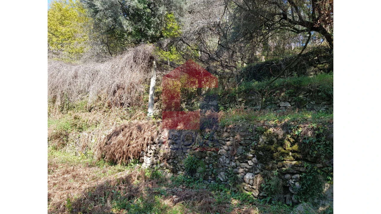 Moradia para Venda em Pico de Regalados, Gondiães e Mós Foto 10