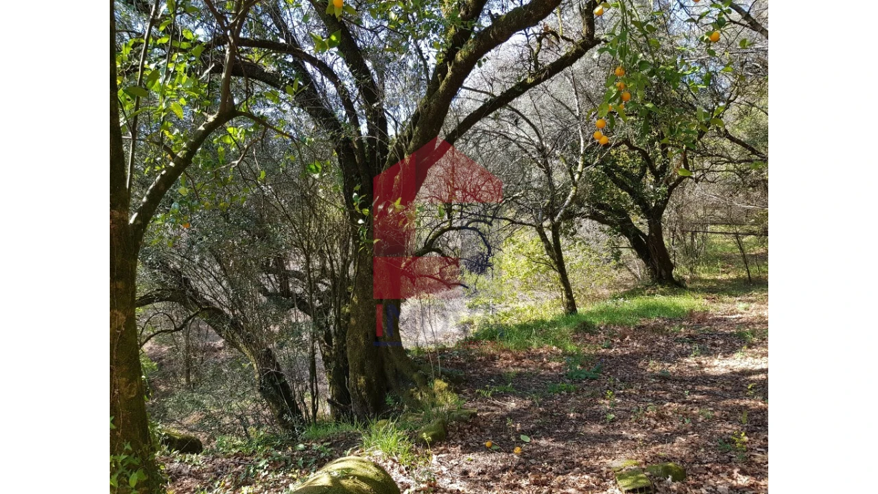 Moradia para Venda em Pico de Regalados, Gondiães e Mós Foto 13