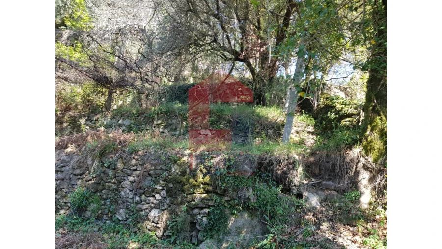 Moradia para Venda em Pico de Regalados, Gondiães e Mós Foto 9