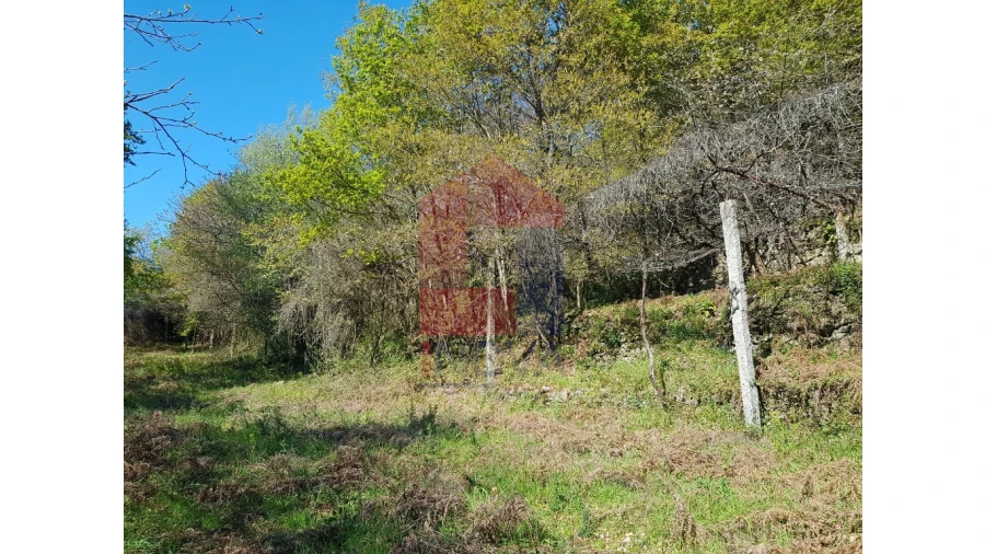 Moradia para Venda em Pico de Regalados, Gondiães e Mós Foto 8