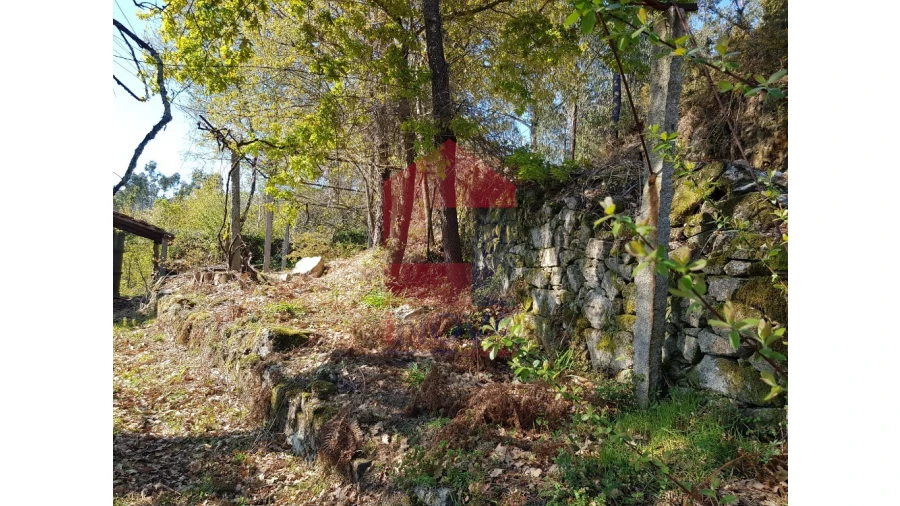 Moradia para Venda em Pico de Regalados, Gondiães e Mós Foto 6