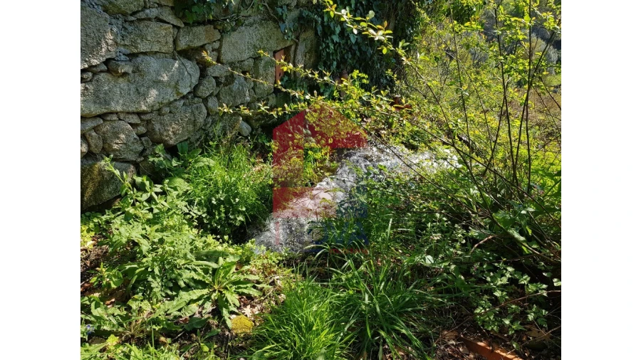 Moradia para Venda em Pico de Regalados, Gondiães e Mós Foto 15