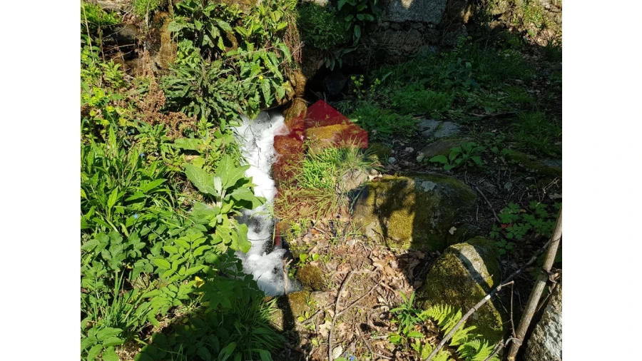 Moradia para Venda em Pico de Regalados, Gondiães e Mós Foto 16