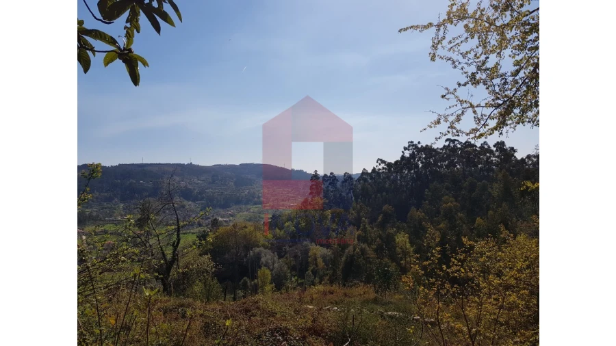 Moradia para Venda em Pico de Regalados, Gondiães e Mós Foto 14