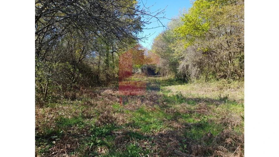 Moradia para Venda em Pico de Regalados, Gondiães e Mós Foto 7