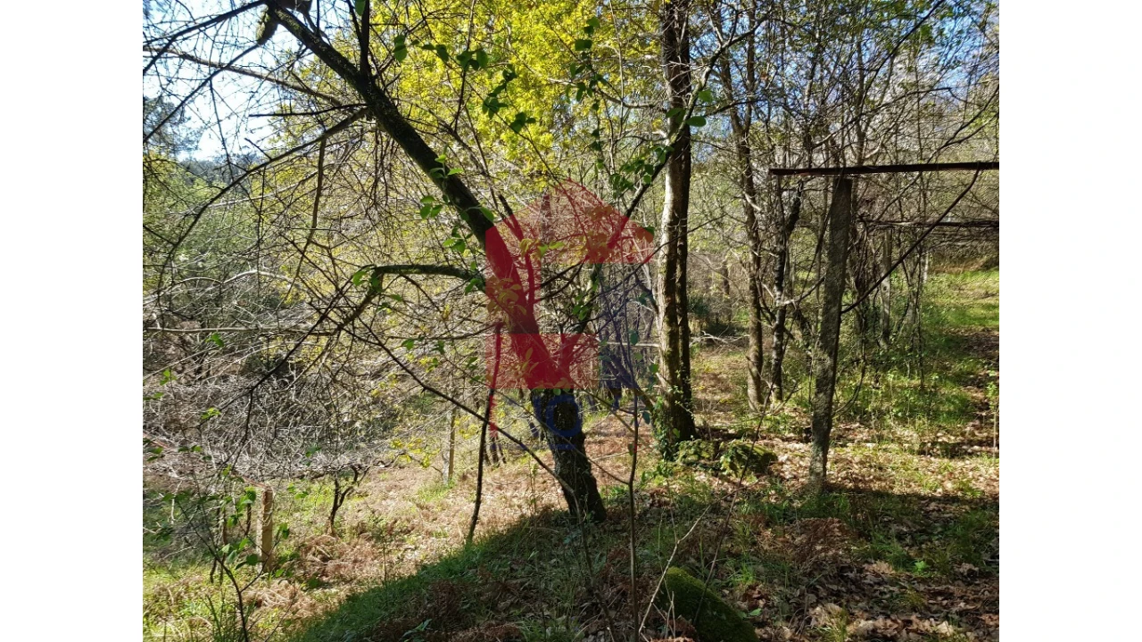 Moradia para Venda em Pico de Regalados, Gondiães e Mós Foto 12