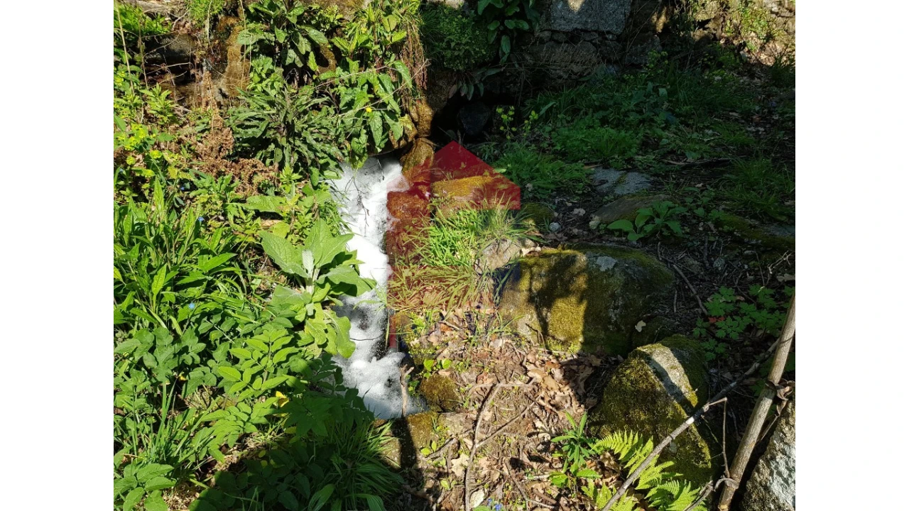 Moradia para Venda em Pico de Regalados, Gondiães e Mós Foto 16