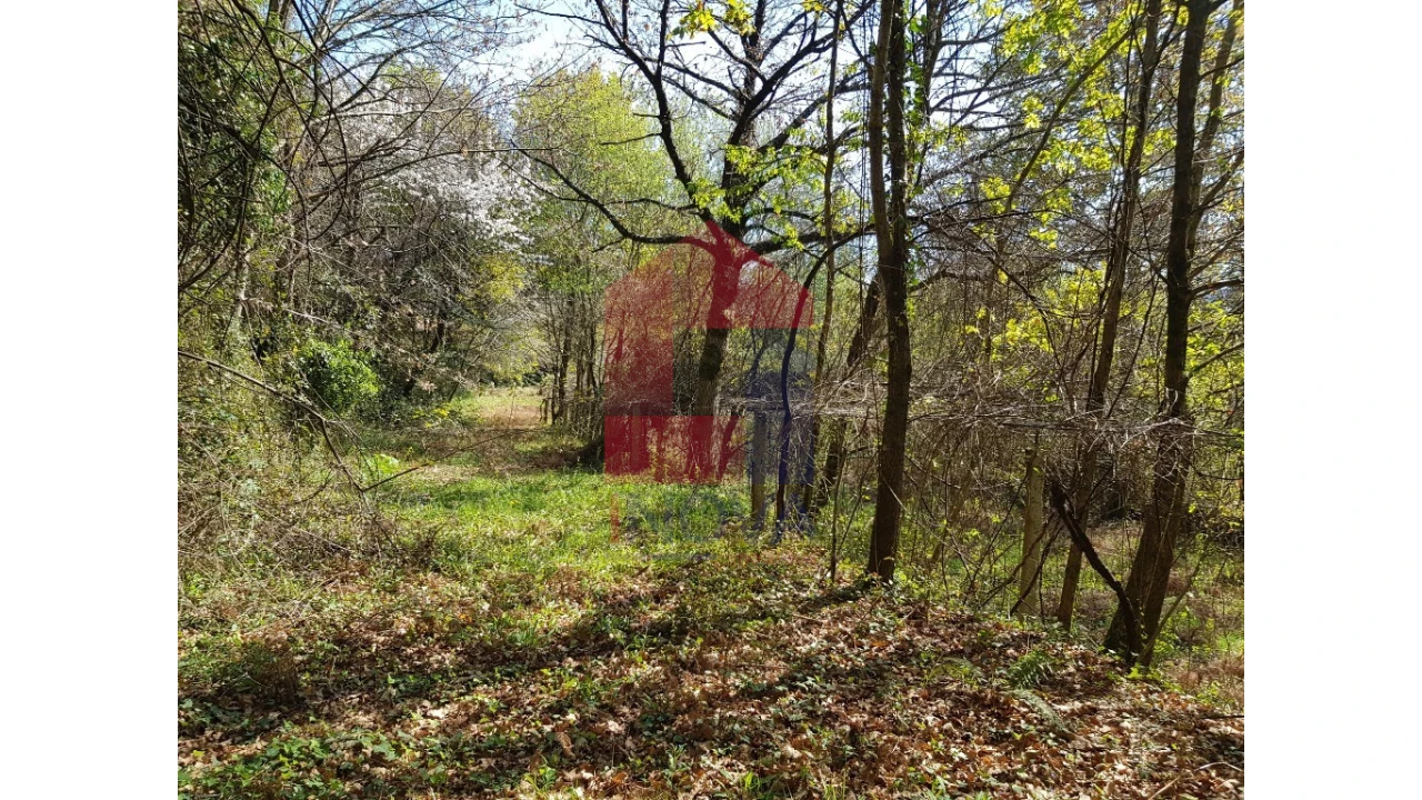 Moradia para Venda em Pico de Regalados, Gondiães e Mós Foto 11