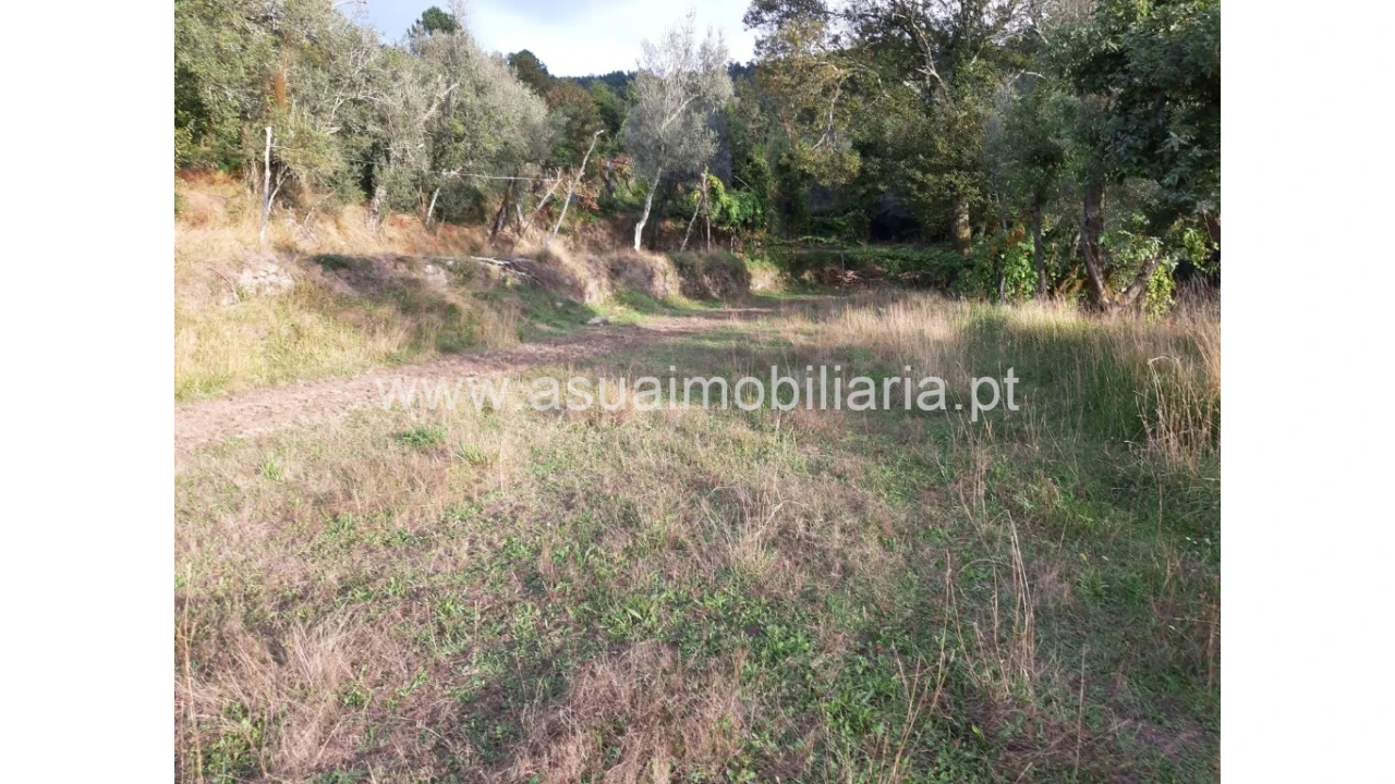 Terreno para Venda em Caldelas, Sequeiros e Paranhos Foto 37