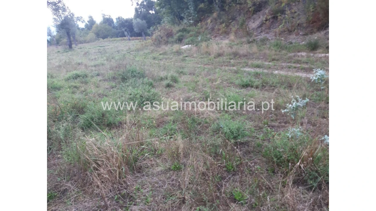 Terreno para Venda em Caldelas, Sequeiros e Paranhos Foto 25