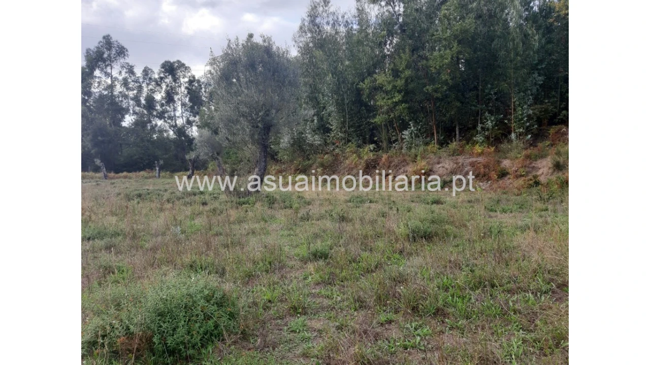 Terreno para Venda em Caldelas, Sequeiros e Paranhos Foto 27