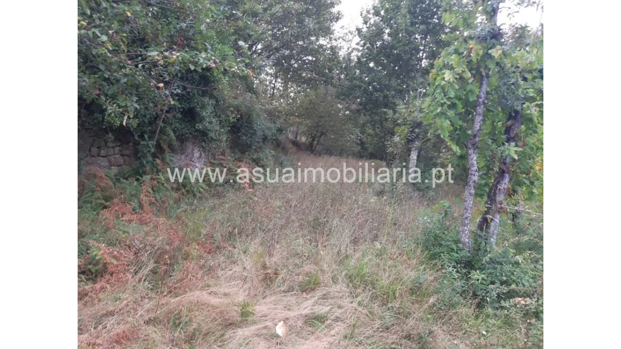 Terreno para Venda em Caldelas, Sequeiros e Paranhos Foto 24