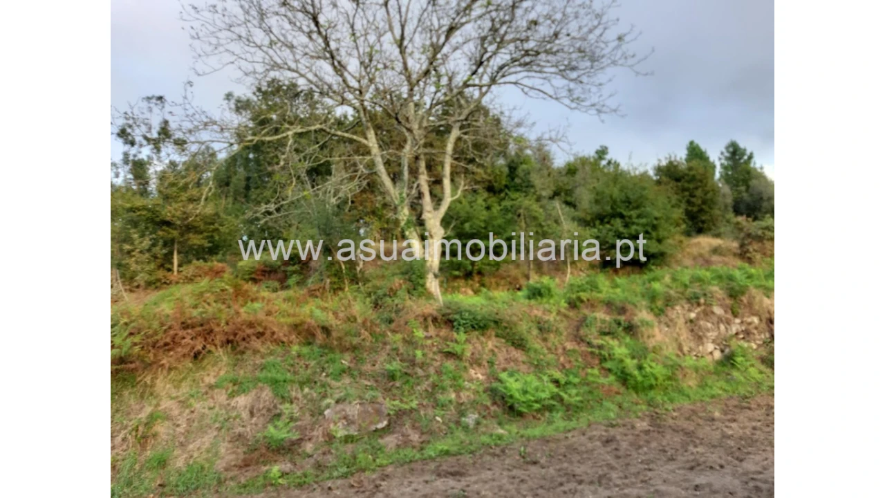 Terreno para Venda em Caldelas, Sequeiros e Paranhos Foto 41