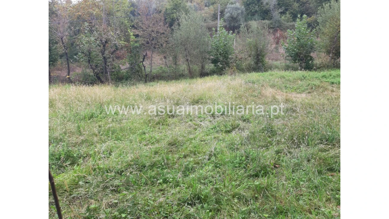 Terreno para Venda em Caldelas, Sequeiros e Paranhos Foto 23